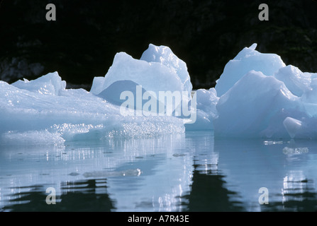 Alaska, fiordi kenai national park, northwestern fiordo, ghiaccio galleggiante nel fiordo nord-occidentale Foto Stock