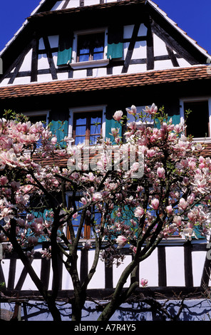 Francia, Bas Rhin, Hunspach, alsaziano graticcio house Foto Stock