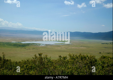 Una vista da un bordo del cratere di Ngorongoro attraverso Lake Magadi agli altri Crater Rim nella distanza del cratere di Ngorongoro Foto Stock