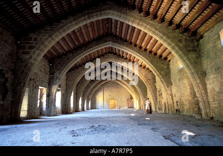 Francia, Aude, Lagrasse village, ex dormitorio di Sainte Marie de Lagrasse Abbey Foto Stock