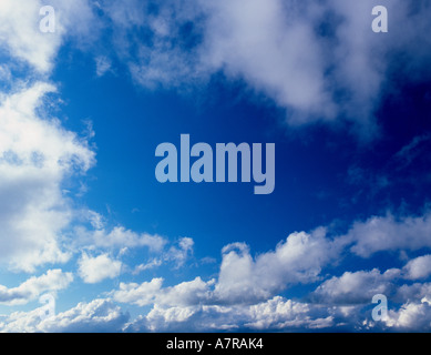 Cielo blu sullo sfondo Foto Stock