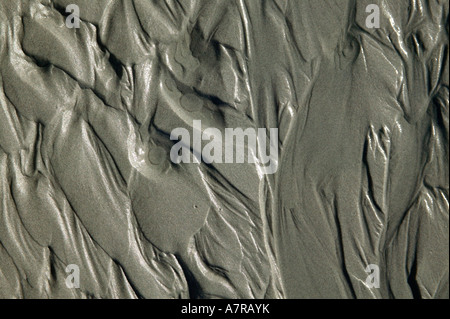 Ripples in spiaggia di sabbia lasciate dalla marea sfuggente Port Nolloth Northern Cape Sud Africa Foto Stock