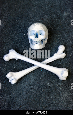 Cranio e crossbones still life Foto Stock