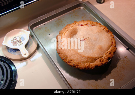 Caldo Torta di ciliegie fresche fuori del forno Foto Stock