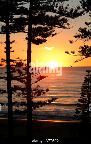 Alba sul faggio Manly, North Shore Sydney Foto Stock