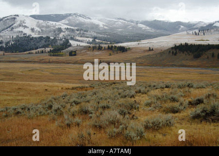 La Lamar Valley Foto Stock