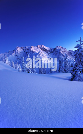 Alberi congelati sul paesaggio snowcoevred, Salisburgo, Austria Foto Stock