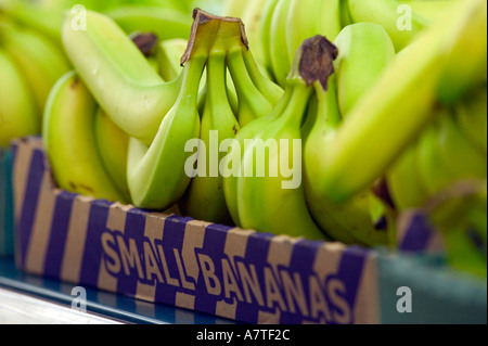 Le banane per la vendita in un ramo del Tesco UK Foto Stock