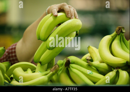 Le banane in vendita in un supermercato nel Regno Unito Foto Stock