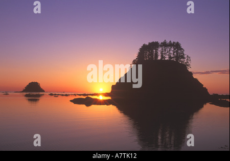 Cape Alava tramonto, Olympic NP, WA, Stati Uniti d'America Foto Stock