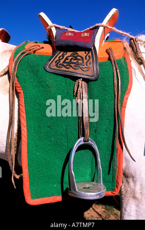 Mongolia, provincia Arkhangai, Tsetserleg, Naadam festival Foto Stock