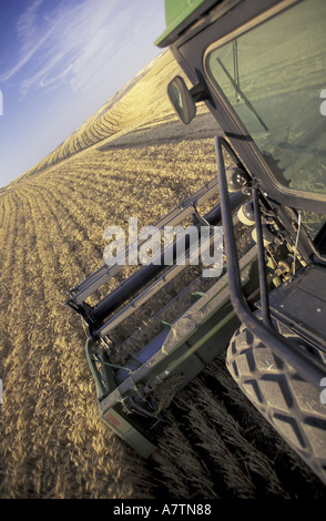 NA, STATI UNITI D'AMERICA, Washington, Eastern Washington, polveroso. Vista dalla cabina della mietitrebbia come si muove attraverso un Palouse campo di grano Foto Stock