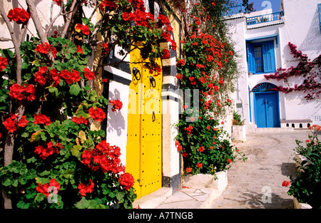 La Tunisia, una porta a Sidi Bou Said (frazioni di Tunisi) Foto Stock