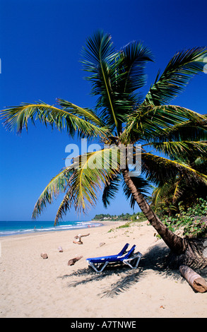 Repubblica dominicana cabarete, capitale del windsurf Foto Stock