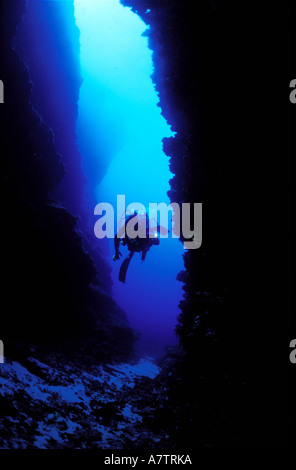 Francia, Corse du Sud, subacqueo in un profondo canyon, vista subacquea Foto Stock