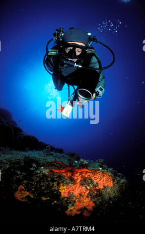 Francia, Corse du Sud, scuba diver su una stella di mare, vista subacquea Foto Stock