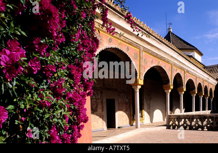 Spagna, Andalusia, Sevilla, la Casa de Pilatos, palazzo con Mudéjar, gotico e rinascimentale Foto Stock