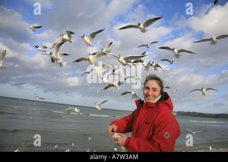 A testa nera (gabbiano Larus ridibundus), il turista femminile alimenta il gregge, Germania, Ruegen, Binz Foto Stock