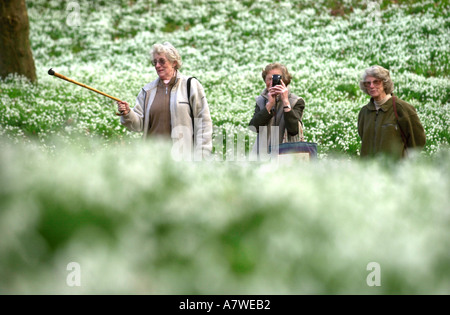 A GROUP OF LADIES VISITING PAINSWICK ROCOCO GARDENS IN GLOUCESTERSHIRE TO SEE THE SNOWDROPS UK Foto Stock