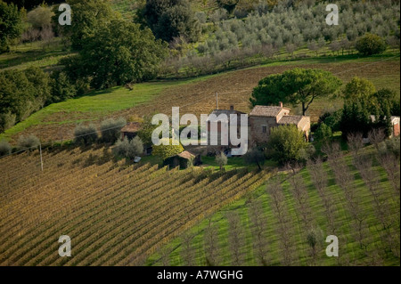 Terreni agricoli attorno a Montepulciano Toscana Italia Foto Stock