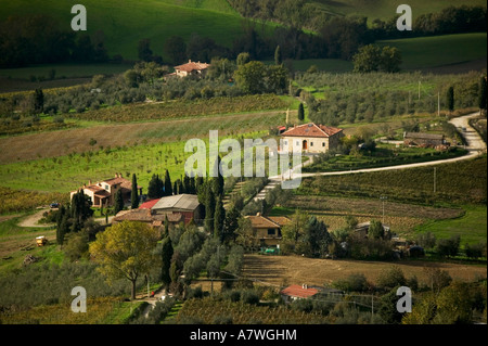 Terreni agricoli attorno a Montepulciano Toscana Italia Foto Stock
