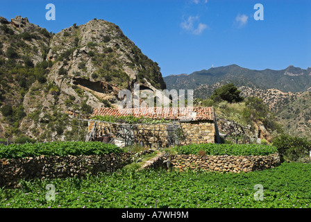 Casa in pietra vicino Vallehermoso, isola di La Gomera, isole Canarie, Spagna, Europa Foto Stock