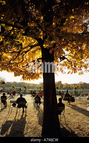 Giardino di Lussemburgo (Jardin du Luxembourg), Parigi, Francia Foto Stock