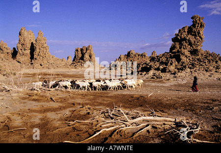 Repubblica di Gibuti, lago di Abbe Foto Stock