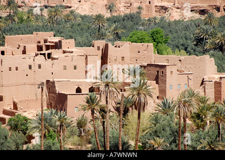 Vista sulla città vecchia ksar con palme Tinerhir Marocco Foto Stock