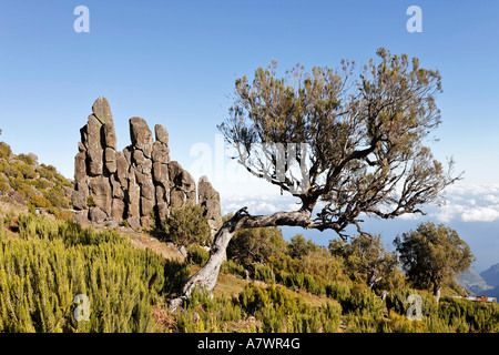 Formazione di roccia chiamato Homem em Pe (sassoso umana) sul Achada do Teixeira, Madeira, Portogallo Foto Stock