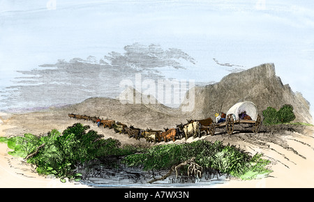 Capo di Buona Speranza vagone trainato da buoi Sud Africa 1800s. Colorate a mano la xilografia Foto Stock