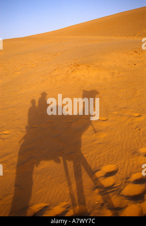 L'ombra di un cammello con due piloti a scalare una duna di sabbia al di fuori di Jaisalmer in Khuri, Rajasthan, India. Foto Stock