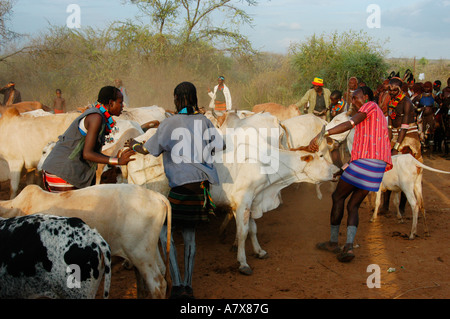 Etiopia, Omo River Valley, villaggio di Tourmi, Hamar bull-jumping cerimonia di iniziazione, Hamar uomini, già avviata, Foto Stock