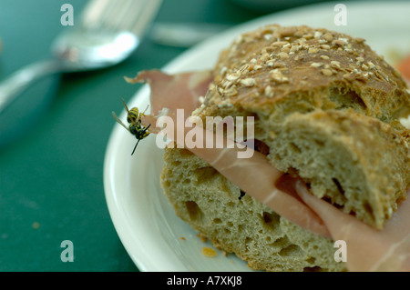 Wasp rubare prosciutto nel sandwich. lion statua. (C) da uli nusko, CH-3012 Berna Foto Stock