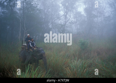 Il Nepal, Royal Chitwan National Park, i turisti su elephant safari in erba alta lungo la riva del fiume nella nebbia di mattina Foto Stock