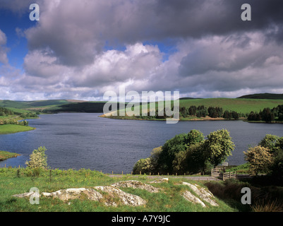 LLYN CLYWEDOG serbatoio nel giugno Powys Mid Wales UK Foto Stock