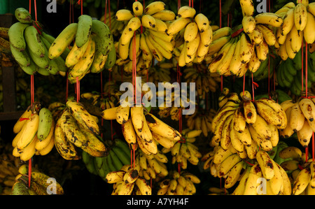 Banane per la vendita su un mercato in stallo di Kuala Lumpur in Malesia. Foto Stock