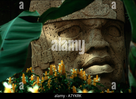 Olmec Enigma, testa in pietra, Xalapa Museum, Museo di Jalapa, olmeca, Testa colossale, Veracruz, Messico, San Lorenzo Foto Stock