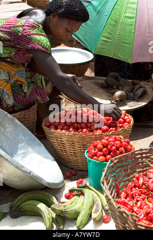 Lumache giganti della tigre dell'Africa occidentale ombreggiate sotto ombrello, insieme ai peperoncini, pomodori e piantana per la vendita nel mercato alimentare di Bogoso del Ghana occidentale Foto Stock