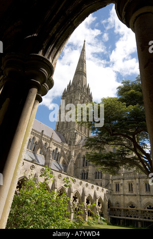 La Cattedrale di Salisbury guglia dal Chiostro Foto Stock