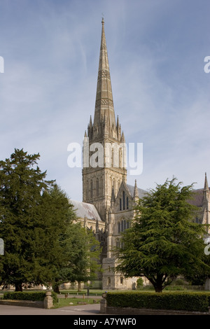 La Cattedrale di Salisbury e spire da est Foto Stock