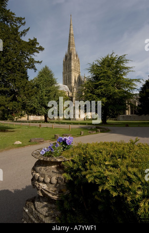 La Cattedrale di Salisbury guglia da est Foto Stock