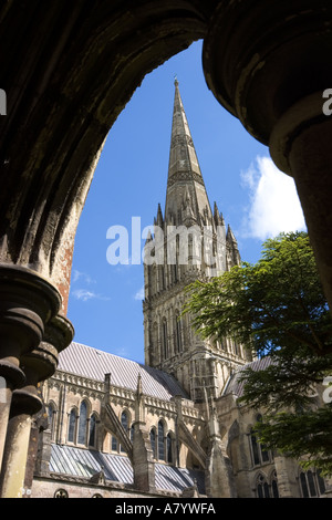 La Cattedrale di Salisbury guglia dal chiostro Wiltshire, Inghilterra Foto Stock