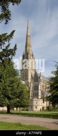 La Cattedrale di Salisbury e spire da est Wiltshire, Inghilterra Foto Stock