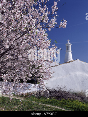 L'Europa, Portogallo, Algarve, un tipico camino e mandorlo Foto Stock