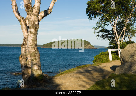 Il francese Bay come visto dalla riva percorso in Bar Harbor Maine USA Foto Stock