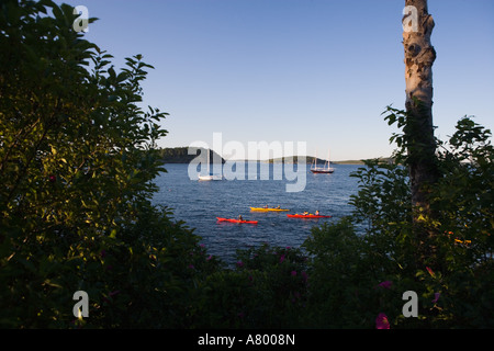 Sea kayakers in francese Bay come visto dalla riva percorso in Bar Harbor Maine USA Foto Stock