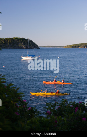 Sea kayakers in francese Bay come visto dalla riva percorso in Bar Harbor Maine USA Foto Stock