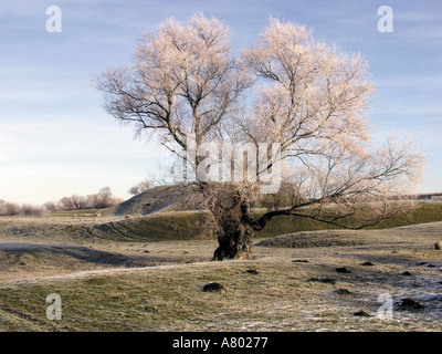 Bedfordshire motte bailey castle yelden martyn di David Hughes Foto Stock