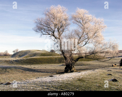 Bedfordshire motte bailey castle yelden Foto Stock